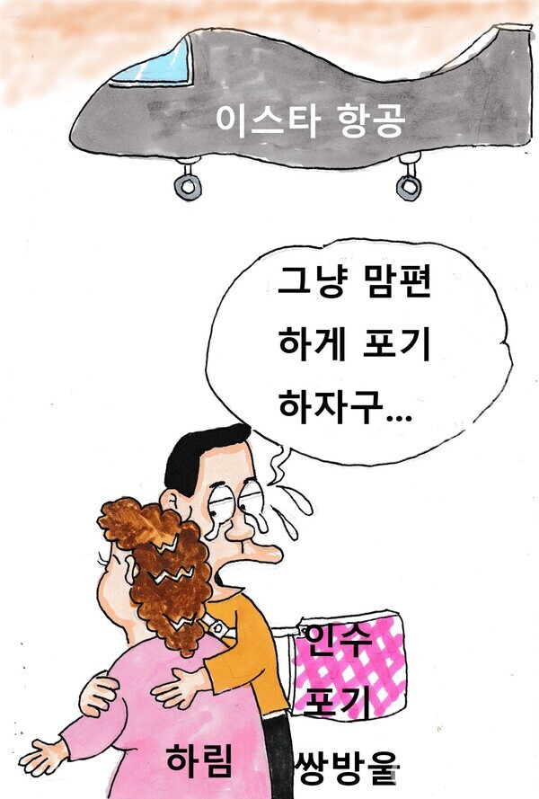 [김영범 화백의 시이오 만평] 이스타항공, 하림·쌍방울 넘어 성정 품으로!