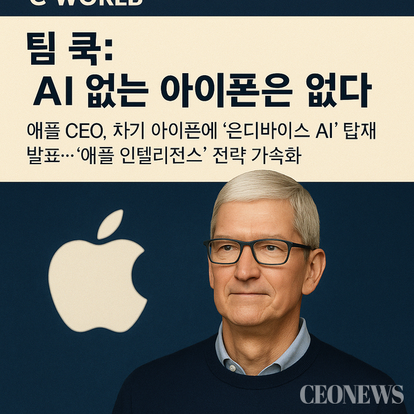Tim Cook Apple's CEO