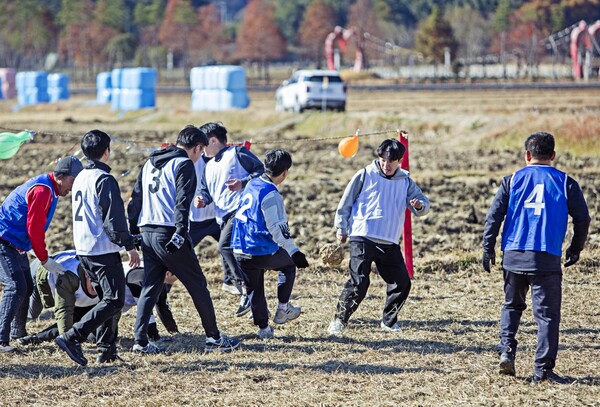 토지의 무대 평사리 들판에서 열리는 논두렁축구대회